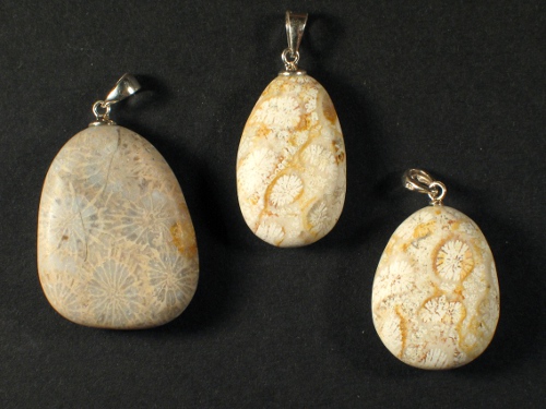 Pendant fossil coral matted 2,3+cm