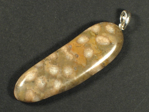 Pendant with fossil coral from the Inn valley w/silver 4,5cm