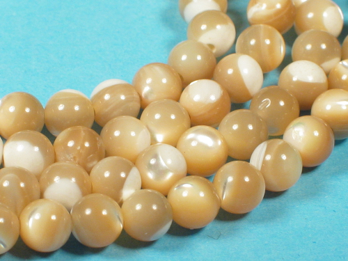 Tectus Beads beige ~0,6cm (x3)