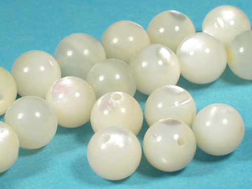 Tectus-Perlmutt-Beads wei ~0,8cm (x3)
