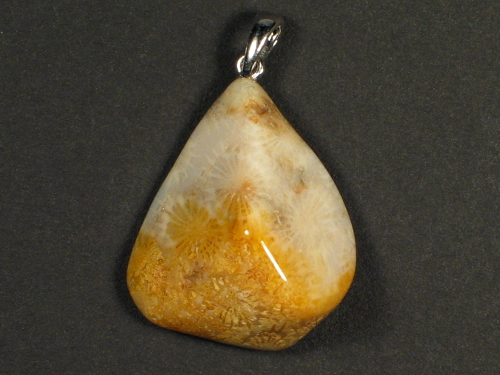 Fossil coral pendant with silver loop 2,7x2,3cm