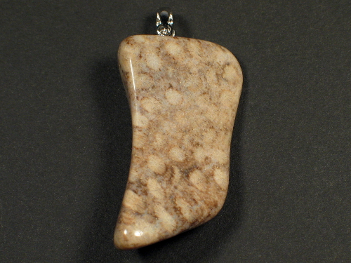 Fossil coral pendant with silver loop 3,7x2,1cm