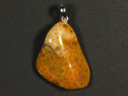 Fossil coral pendant with silver loop 2,9x2,9cm