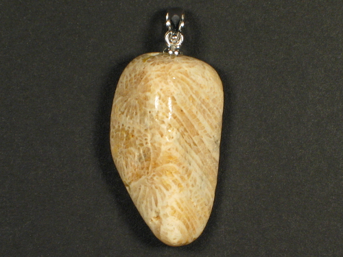 Fossil coral pendant with silver loop 3,0x1,8cm