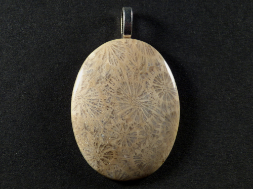 Pendant fossil coral polished oval 3,6cm