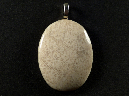 Pendant fossil coral polished oval 3,9x3,0cm