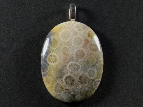 Pendant fossil coral polished oval 3,8x2,9cm
