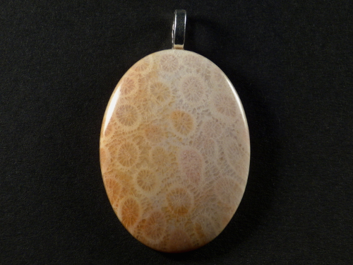 Pendant fossil coral polished oval 4,2x3,1cm