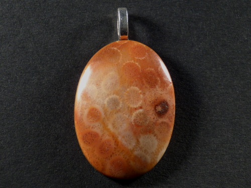 Pendant fossil coral polished oval 3,6x2,5cm