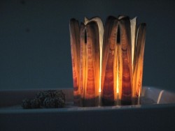 American razor clam 6-10,5cm (x6)