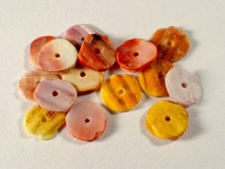 Colourful Scallop beads ~0,7cm (1g)