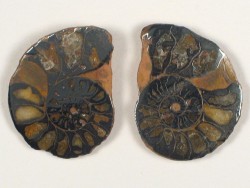 Hmatit-Ammonit Paar Jura MA