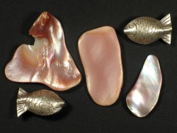 Pink Mussel pieces 2,5-4cm (10g)