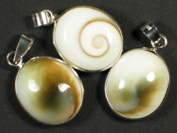 Operulum pendant oval w/silver 1,6cm