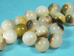 Schwarzlippen-Beads ~0,8cm (x3)