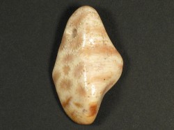 Tumbled fossil coral with drill-hole 4,5cm
