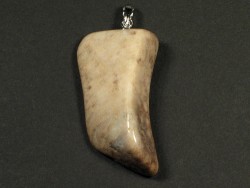 Fossil coral pendant with silver loop 3,7x2,1cm