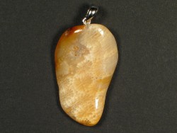 Fossil coral pendant with silver loop 3,3x2,0cm