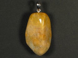 Fossil coral pendant with silver loop 3,2x2,0cm