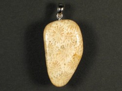 Fossil coral pendant with silver loop 3,0x1,8cm