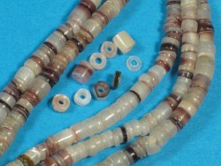 Hammer shell beads w/drillhole on mini-strand ~20cm