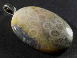 Pendant fossil coral polished oval 3,8x2,9cm