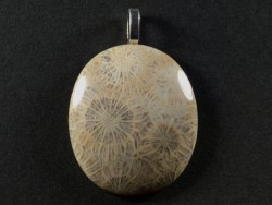Pendant fossil coral polished oval 3,5x3,0cm