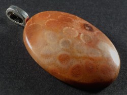 Pendant fossil coral polished oval 3,6x2,5cm