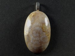 Pendant fossil coral polished oval 3,9cm