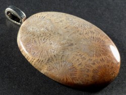 Pendant fossil coral polished oval 3,8cm
